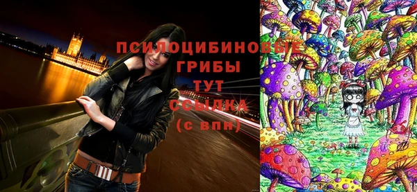 первитин Осинники