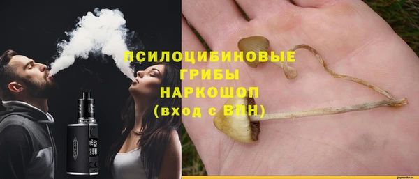 сатива Осташков