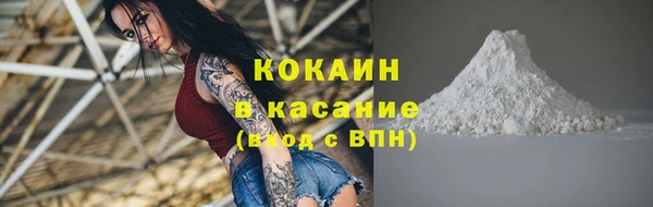 сатива Осташков