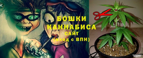 сатива Осташков