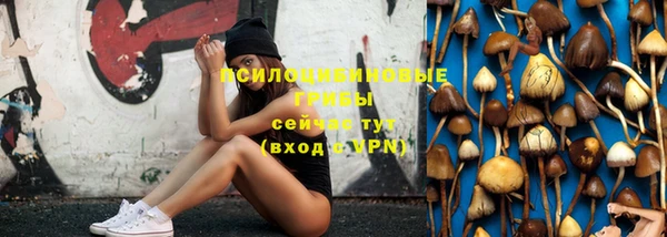 сатива Осташков