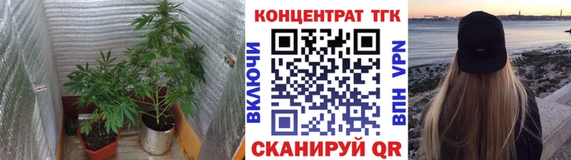 ТГК концентрат  ОМГ ОМГ как войти  Курганинск 