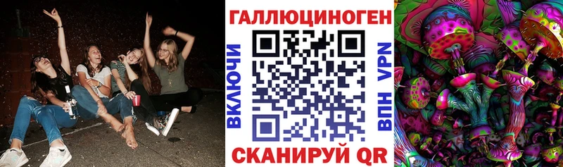 Псилоцибиновые грибы Psilocybe  дарнет шоп  Курганинск 