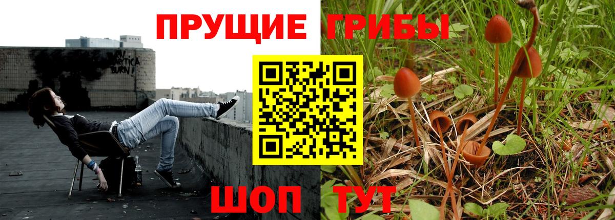 Галлюциногенные грибы Magic Shrooms  Курганинск 