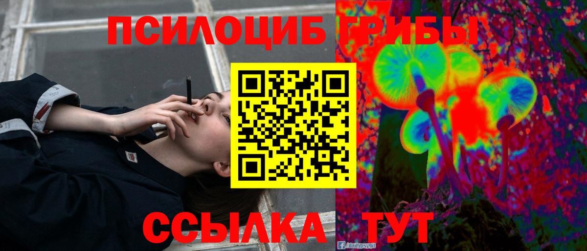 Псилоцибиновые грибы GOLDEN TEACHER Курганинск