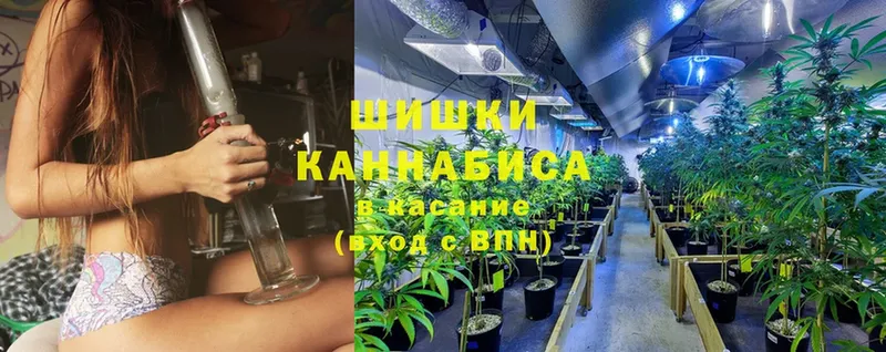 Бошки марихуана Ganja  Курганинск 